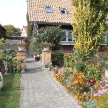 Vermiete Sehr Schoenes Apartment In Dankerode Im Harz المظهر الخارجي الصورة