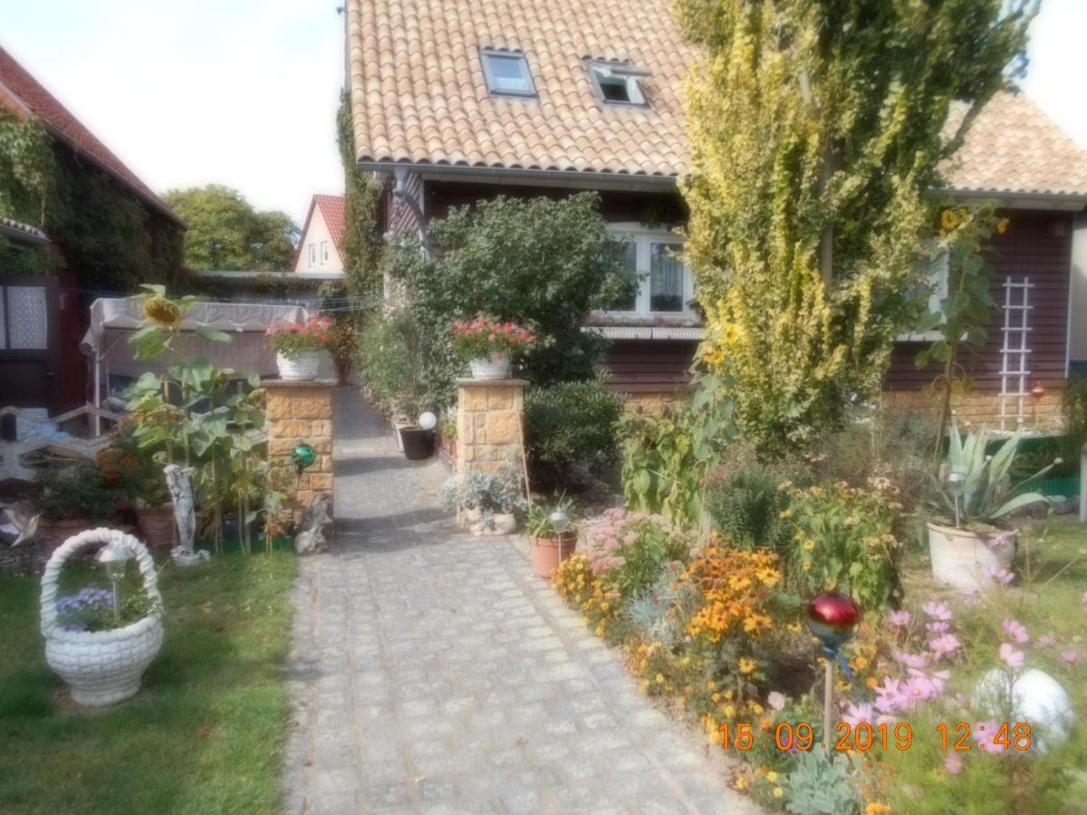 Vermiete Sehr Schoenes Apartment In Dankerode Im Harz المظهر الخارجي الصورة