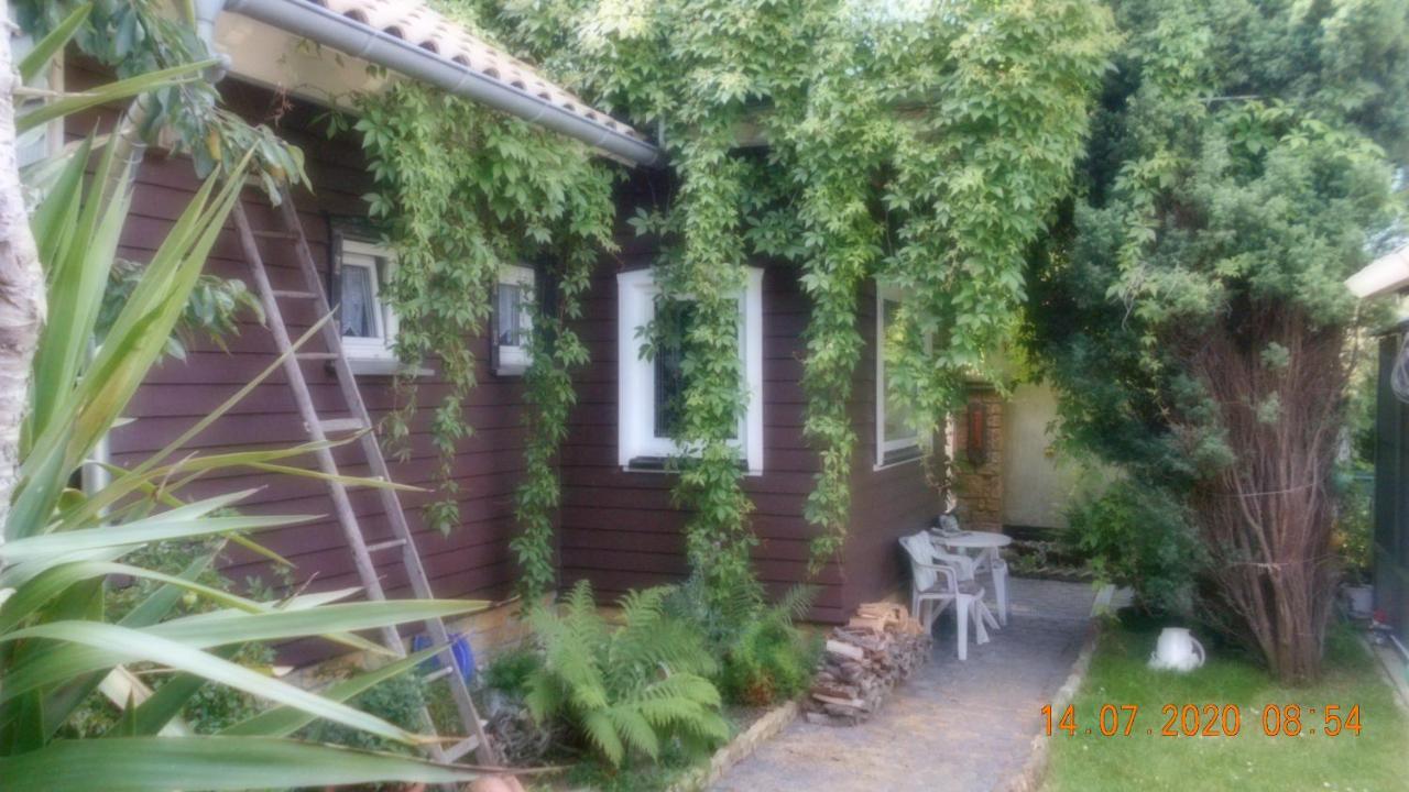 Vermiete Sehr Schoenes Apartment In Dankerode Im Harz المظهر الخارجي الصورة