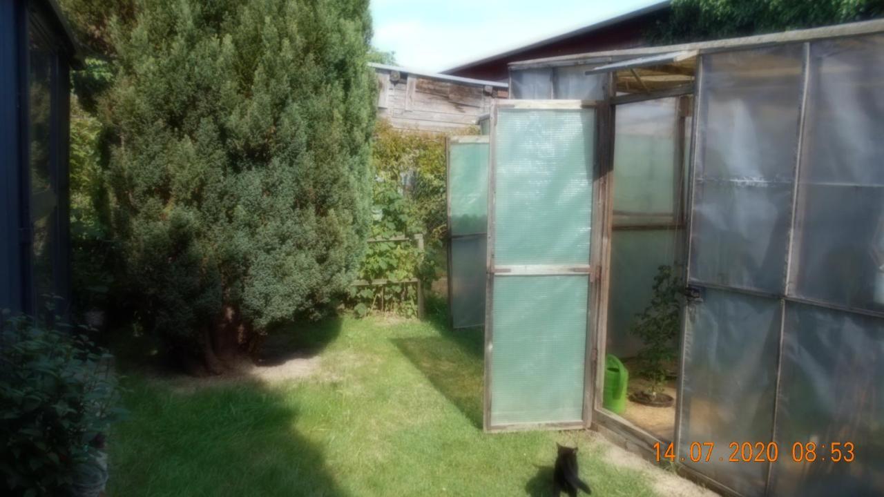 Vermiete Sehr Schoenes Apartment In Dankerode Im Harz المظهر الخارجي الصورة