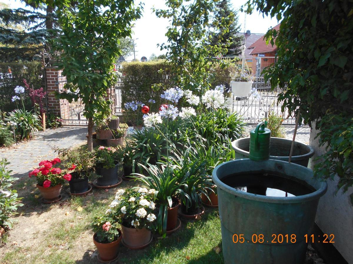 Vermiete Sehr Schoenes Apartment In Dankerode Im Harz المظهر الخارجي الصورة